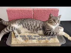 Tofu cat litter 2